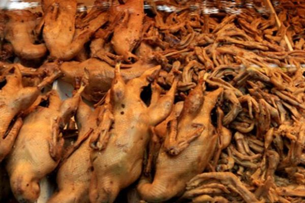 德陽(yáng)鹵菜培訓(xùn)